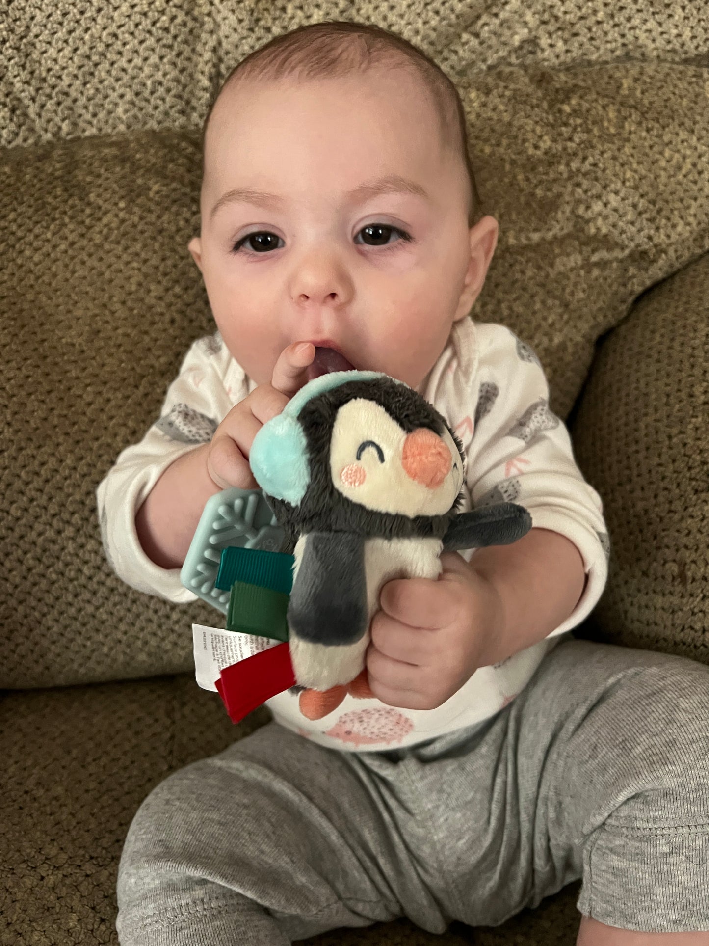 Holiday Penguin Itzy Pal Plush & Teether